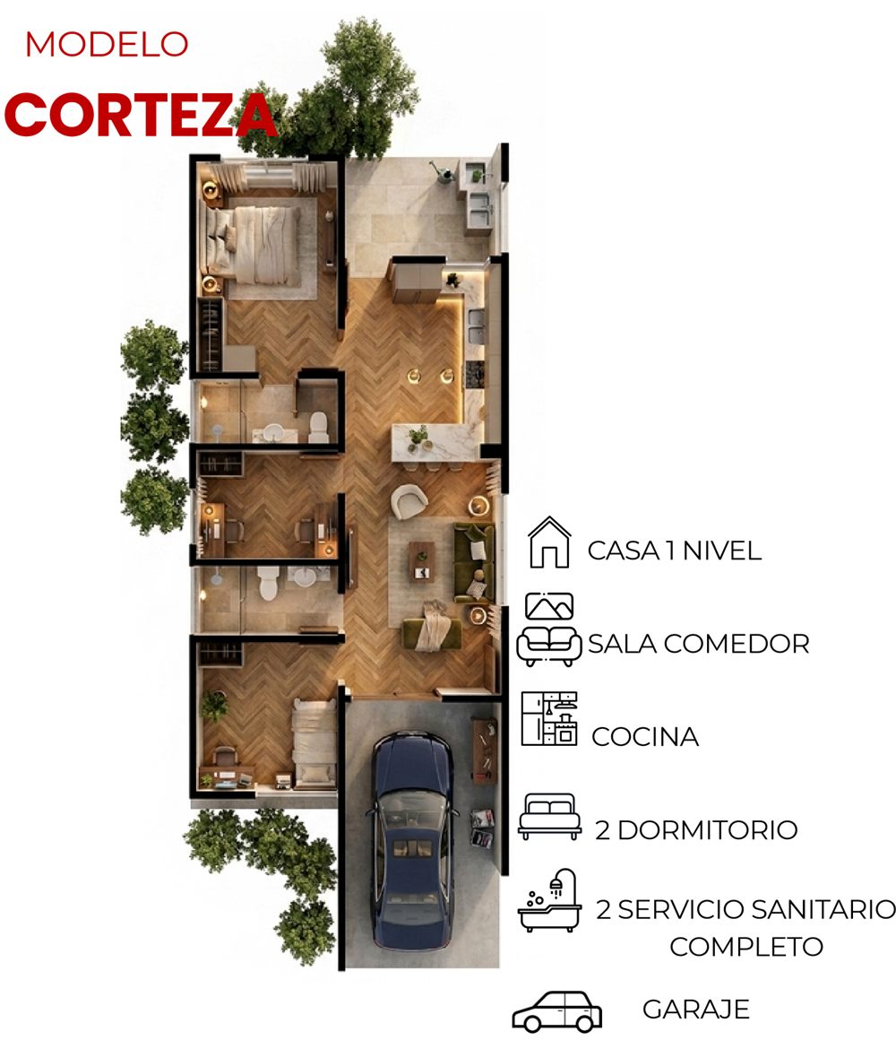 Plano de distribución del modelo Corteza